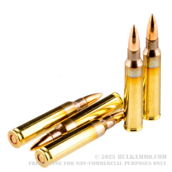 20 Rounds of 5.56x45 Ammo by PMC - 55gr FMJ