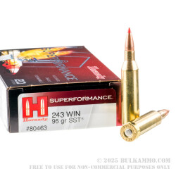 200 Rounds of .243 Win Ammo by Hornady Superformance - 95gr SST