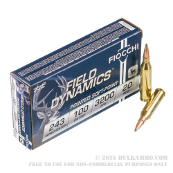 20 Rounds of .243 Win Ammo by Fiocchi - 100 gr PSP