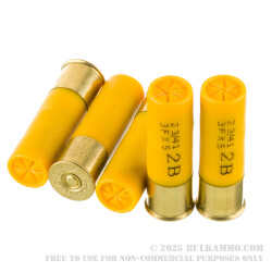 250 Rounds of 20ga Ammo by Aguila - 1 ounce #2 Buck