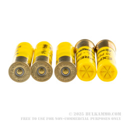 5 Rounds of 20ga Ammo by Remington Express -  #3 Buck