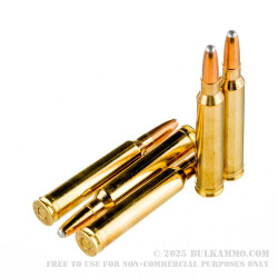 20 Rounds of .300 Win Mag Ammo by Sellier & Bellot - 180gr XRG