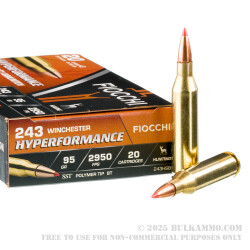 20 Rounds of .243 Win Ammo by Fiocchi - 95gr SST