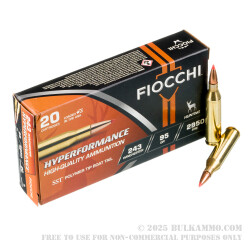 20 Rounds of .243 Win Ammo by Fiocchi - 95gr SST