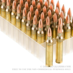 50 Rounds of .223 Ammo by Fiocchi Perfecta - 55gr FMJ