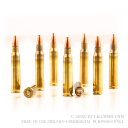 20 Rounds of Bonded 5.56x45 Ammo by Federal RXM556T3 - 62gr SP