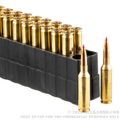 20 Rounds of 6mm Creedmoor Ammo by Black Hills Gold - 103gr ELD-X