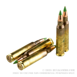 600 Rounds of 5.56x45 Ammo by Federal Eagle - 62gr FMJ XM855