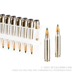 200 Rounds of .223 Ammo by Sierra Prairie Enemy - 55gr BlitzKing