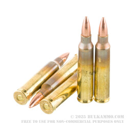 1000 Rounds of .223 Ammo by Lake City - 55gr FMJ