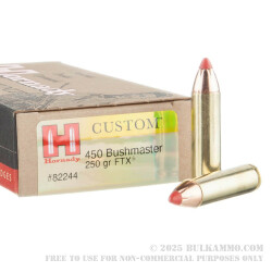 20 Rounds of .450 Bushmaster Ammo by Hornady Custom - 250gr FTX