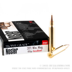 20 Rounds of .300 Win Mag Ammo by Nosler Trophy Grade Ammunition - 180gr Polymer Tipped