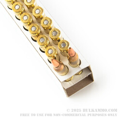 20 Rounds of .223 Ammo by DPX Ammunition - 62gr Solid Copper Hollow Point