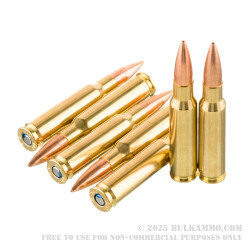 20 Rounds of .308 Win Ammo by Federal Gold Medal CenterStrike - 175gr OTM