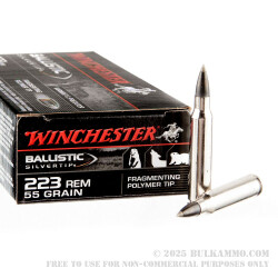 20 Rounds of .223 Ammo by Winchester Ballistic Silvertip - 55gr Polymer Tipped