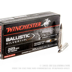 20 Rounds of .223 Ammo by Winchester Ballistic Silvertip - 55gr Polymer Tipped