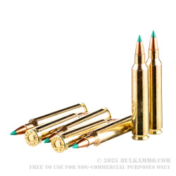 20 Rounds of .204 Ruger Ammo by Sellier & Bellot - 32 gr PTS