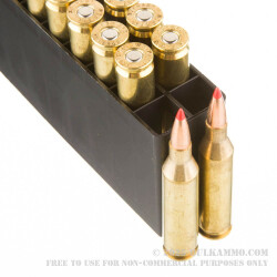 20 Rounds of .243 Win Ammo by Hornady Superformance - 80gr GMX