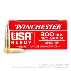 20 Rounds of .300 AAC Blackout Ammo by Winchester USA Ready - 125gr OT