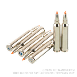 20 Rounds of .300 Win Mag Ammo by Federal - 165gr Trophy Bonded Tip