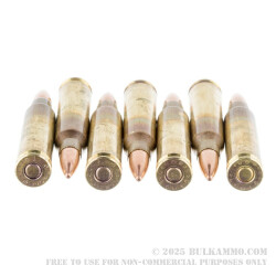 120 Rounds of 5.56x45 Ammo by Federal - 55gr FMJBT