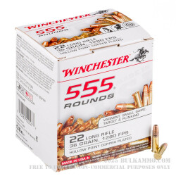 555 Rounds of .22 LR Ammo by Winchester - 36gr CPHP