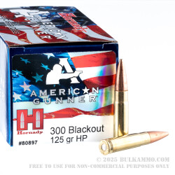 500 Rounds of .300 AAC Blackout Ammo by Hornady - 125gr HP