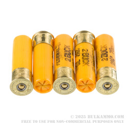 250 Rounds of 20ga Ammo by Federal Personal Defense - #2 Buck