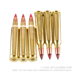 20 Rounds of .300 Win Mag Ammo by Winchester Copper Impact - 150gr Copper Extreme Point *BULLET DISCOLORATION*