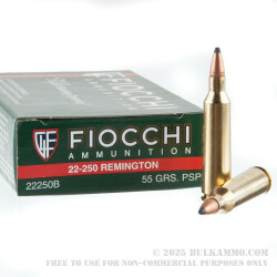 20 Rounds of .22-250 Rem Ammo by Fiocchi - 55gr PSP