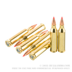 20 Rounds of .243 Win Ammo by Federal Varmint & Predator - 75gr V-MAX