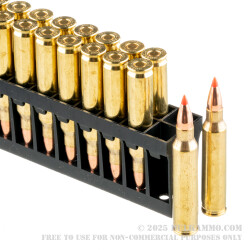 20 Rounds of .223 Ammo by Hornady - 40gr V-Max