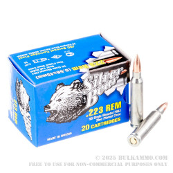 20 Rounds of .223 Ammo by Silver Bear - 55gr FMJ