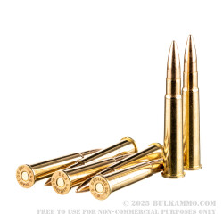 20 Rounds of .303 British Ammo by Sellier & Bellot - 180gr FMJ