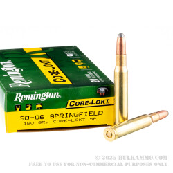 20 Rounds of 30-06 Springfield Ammo by Remington - 180gr SP