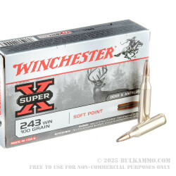 20 Rounds of .243 Win Ammo by Winchester - 100gr PP