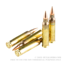 20 Rounds of .223 Ammo by Hornady Frontier - 55gr HP Match