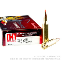 20 Rounds of .243 Win Ammo by Hornady - 75gr V-Max