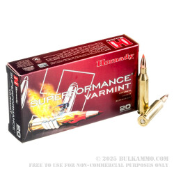 20 Rounds of .243 Win Ammo by Hornady - 75gr V-Max