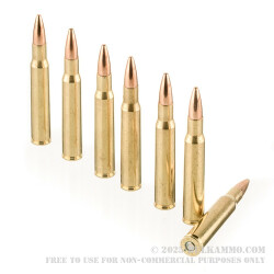 20 Rounds of 30-06 Springfield Ammo by Federal for M1 Garand - 150gr FMJ