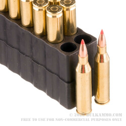 20 Rounds of .243 Win Ammo by Black Hills Gold - 58gr V-MAX