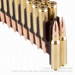 20 Rounds of .308 Win Ammo by Nosler Ammunition - 168gr HPBT