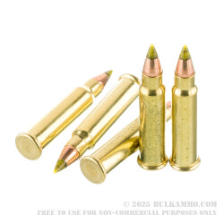 125 Rounds of .17 HMR Ammo by CCI - 17gr VNT