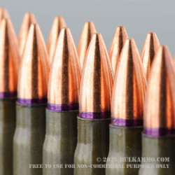 1000 Rounds of 7.62x39mm Ammo by Golden Tiger - 124gr FMJBT