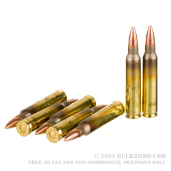 1000 Rounds of .223 Ammo by Federal American Eagle - 55gr FMJBT