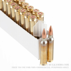 20 Rounds of 5.56x45mm Ammo by Prvi Partizan - 55gr FMJBT