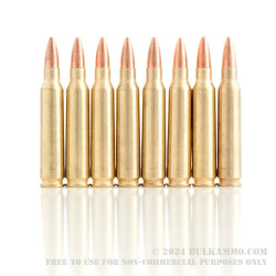 20 Rounds of .223 Ammo by Golden Bear - 62gr HP