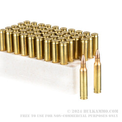 50 Rounds of .223 Ammo by Remington UMC - 50gr JHP