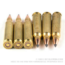 20 Rounds of .223 Ammo by Federal - 50gr Polymer Tipped Boat Tail