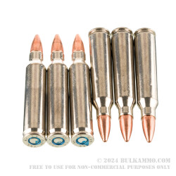 200 Rounds of .223 Ammo by Federal - 55gr TSX